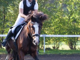 IMG_7087_web
